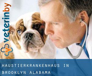 Haustierkrankenhaus in Brooklyn (Alabama) Haustierkrankenhaus in Brooklyn (Alabama)