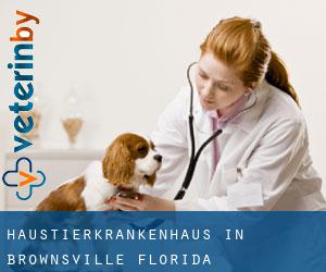 Haustierkrankenhaus in Brownsville (Florida)