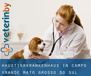 Haustierkrankenhaus in Campo Grande (Mato Grosso do Sul)