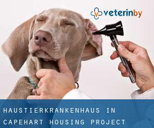 Haustierkrankenhaus in Capehart Housing Project