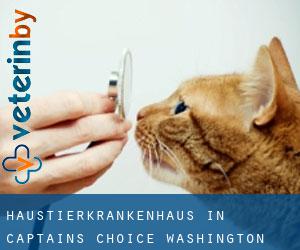 Haustierkrankenhaus in Captains Choice (Washington)