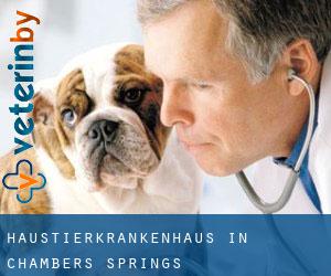 Haustierkrankenhaus in Chambers Springs Haustierkrankenhaus in Chambers Springs
