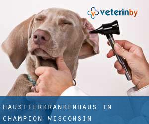 Haustierkrankenhaus in Champion (Wisconsin)