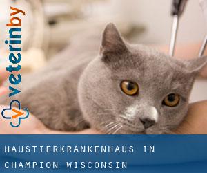 Haustierkrankenhaus in Champion (Wisconsin)