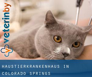 Haustierkrankenhaus in Colorado Springs