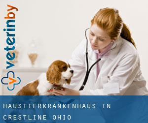 Haustierkrankenhaus in Crestline (Ohio)