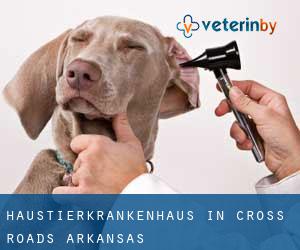 Haustierkrankenhaus in Cross Roads (Arkansas)