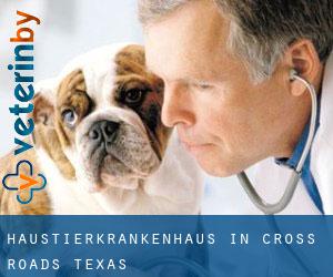 Haustierkrankenhaus in Cross Roads (Texas)