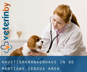 Haustierkrankenhaus in De Martigny (census area)
