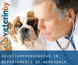 Haustierkrankenhaus in Departamento de Humahuaca