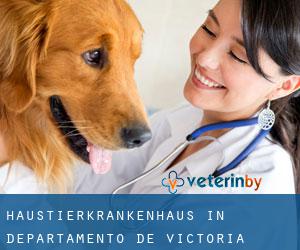 Haustierkrankenhaus in Departamento de Victoria