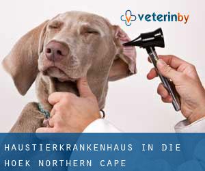 Haustierkrankenhaus in Die Hoek (Northern Cape)