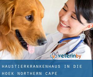 Haustierkrankenhaus in Die Hoek (Northern Cape)
