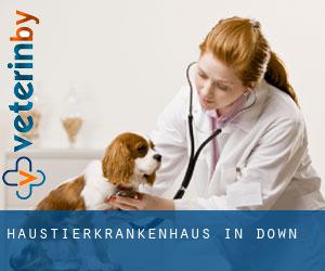 Haustierkrankenhaus in Down