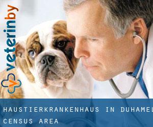 Haustierkrankenhaus in Duhamel (census area)