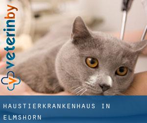 Haustierkrankenhaus in Elmshorn Haustierkrankenhaus in Elmshorn