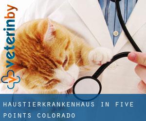 Haustierkrankenhaus in Five Points (Colorado)