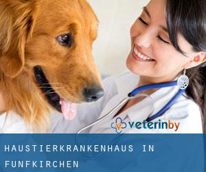 Haustierkrankenhaus in Fünfkirchen Haustierkrankenhaus in Fünfkirchen