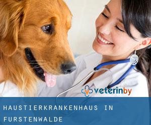 Haustierkrankenhaus in Fürstenwalde Haustierkrankenhaus in Fürstenwalde