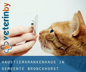 Haustierkrankenhaus in Gemeente Bronckhorst