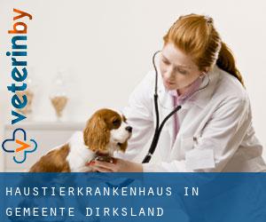 Haustierkrankenhaus in Gemeente Dirksland