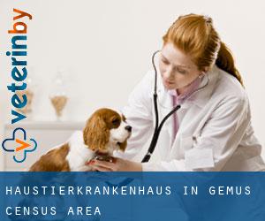 Haustierkrankenhaus in Gemus (census area)