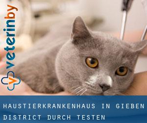 Haustierkrankenhaus in Gießen District durch testen besiedelten gebiet - Seite 1