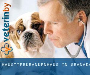 Haustierkrankenhaus in Granada Haustierkrankenhaus in Granada