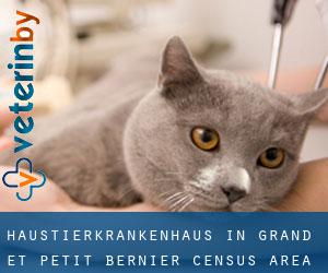 Haustierkrankenhaus in Grand-et-Petit-Bernier (census area)