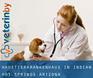 Haustierkrankenhaus in Indian Hot Springs (Arizona)