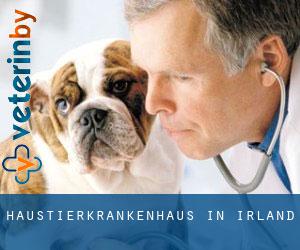 Haustierkrankenhaus in Irland Haustierkrankenhaus in Irland