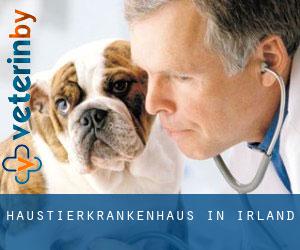 Haustierkrankenhaus in Irland