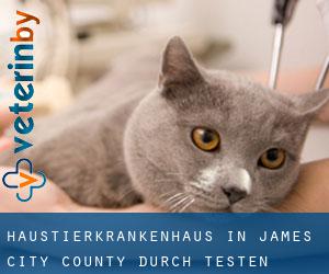 Haustierkrankenhaus in James City County durch testen besiedelten gebiet - Seite 1
