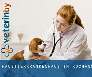 Haustierkrankenhaus in Koch'ang