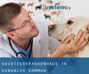 Haustierkrankenhaus in Kungälvs Kommun Haustierkrankenhaus in Kungälvs Kommun