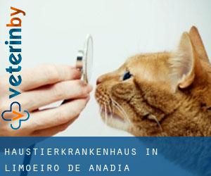 Haustierkrankenhaus in Limoeiro de Anadia Haustierkrankenhaus in Limoeiro de Anadia