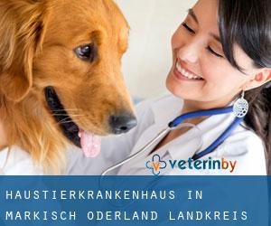 Haustierkrankenhaus in Märkisch-Oderland Landkreis