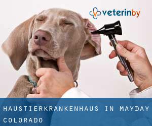 Haustierkrankenhaus in Mayday (Colorado)