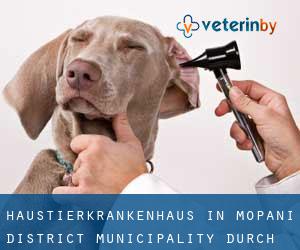 Haustierkrankenhaus in Mopani District Municipality durch stadt - Seite 1