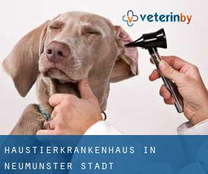 Haustierkrankenhaus in Neumünster Stadt Haustierkrankenhaus in Neumünster Stadt