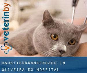 Haustierkrankenhaus in Oliveira do Hospital