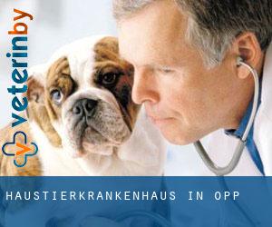 Haustierkrankenhaus in Opp