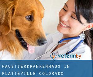 Haustierkrankenhaus in Platteville (Colorado)