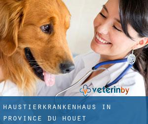 Haustierkrankenhaus in Province du Houet