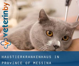 Haustierkrankenhaus in Province of Messina Haustierkrankenhaus in Province of Messina