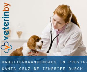 Haustierkrankenhaus in Provinz Santa Cruz de Tenerife durch stadt - Seite 1