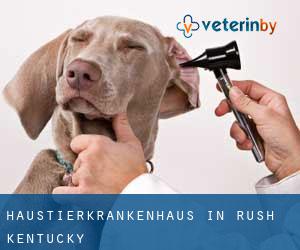Haustierkrankenhaus in Rush (Kentucky)