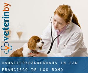 Haustierkrankenhaus in San Francisco de los Romo