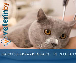Haustierkrankenhaus in Sillein Haustierkrankenhaus in Sillein