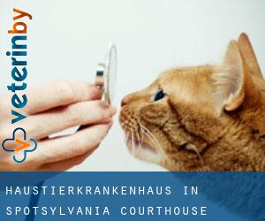 Haustierkrankenhaus in Spotsylvania Courthouse